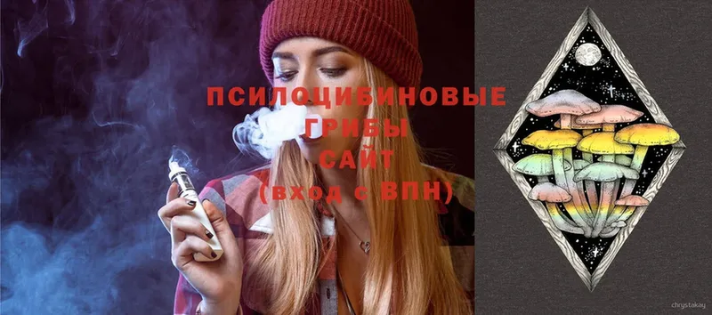 закладки  Нижняя Салда  Галлюциногенные грибы Psilocybe 